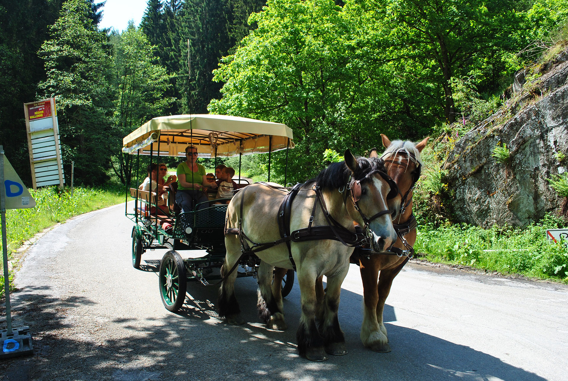 A family enjoys an Ardenne draft horse drawn carriage