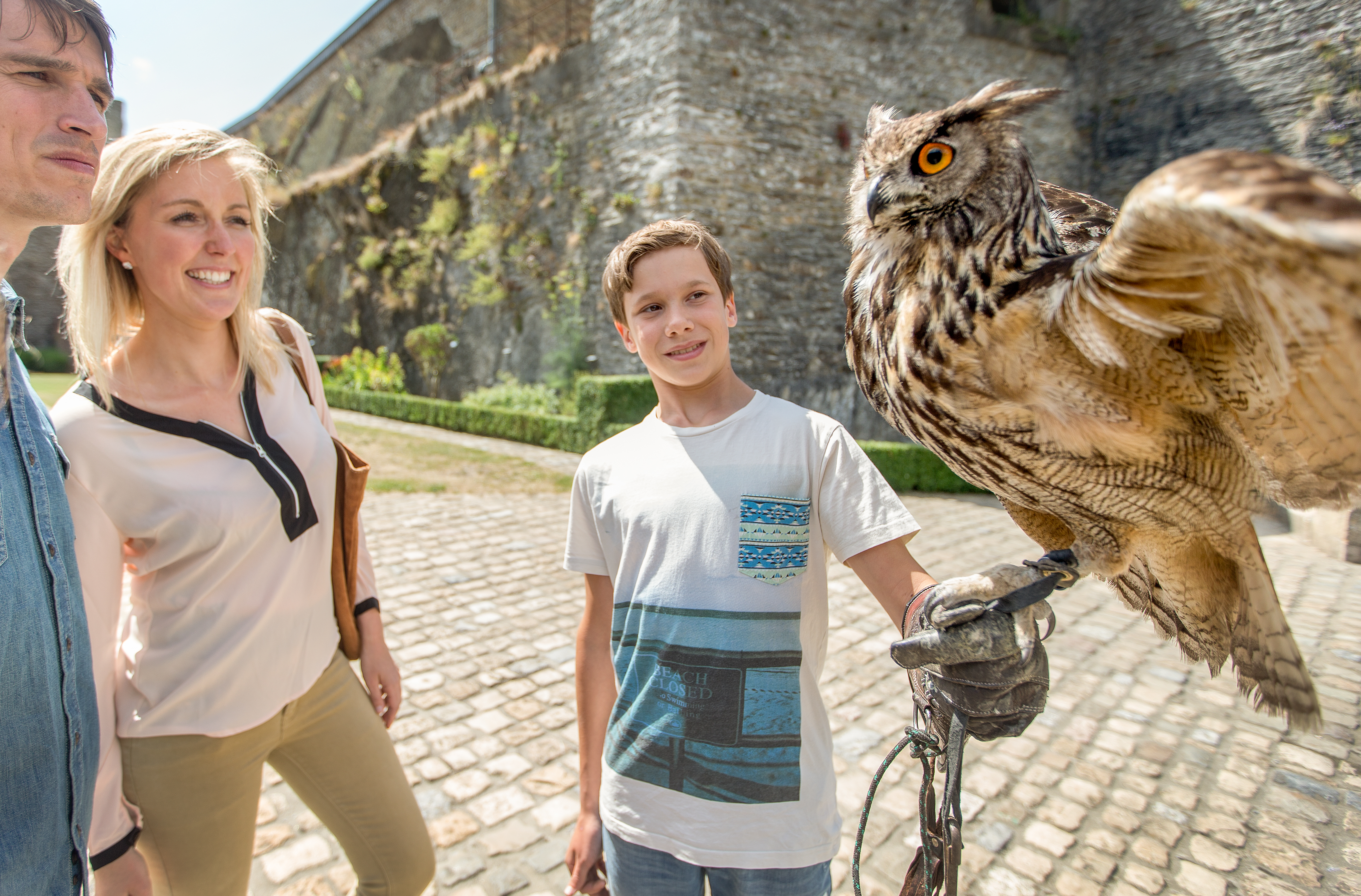 Watch a falconry demonstration at the Bouillon castle